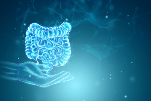 Taller: INFORMACIÓN SOBRE SOLUCIONES EN OSTOMÍA E INCONTINENCIA