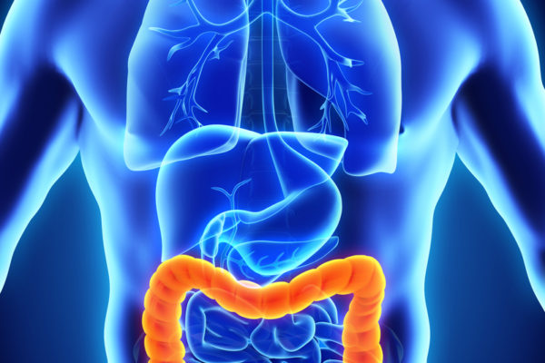Taller: INFORMACIÓN SOBRE SOLUCIONES EN OSTOMÍA E INCONTINENCIA